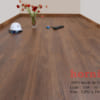 Sàn gỗ công nghiệp Hornitex 10mm 558
