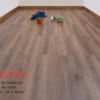 Sàn gỗ Hornitex 8mm 555